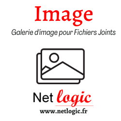 Fichier:ImageGallery-image 250x250.png